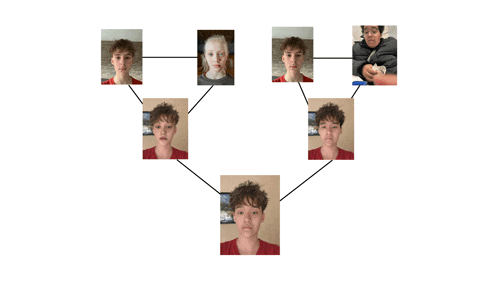 a family tree with a few pictures of a boy