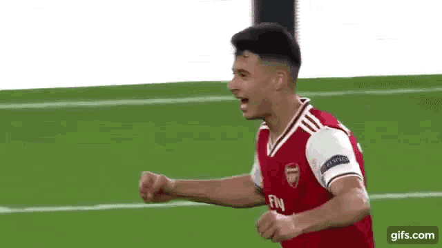 a soccer player wearing a fly emirates jersey is celebrating a goal .