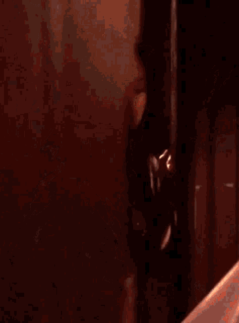 a woman with long dark hair and a plunging neckline looks at the camera