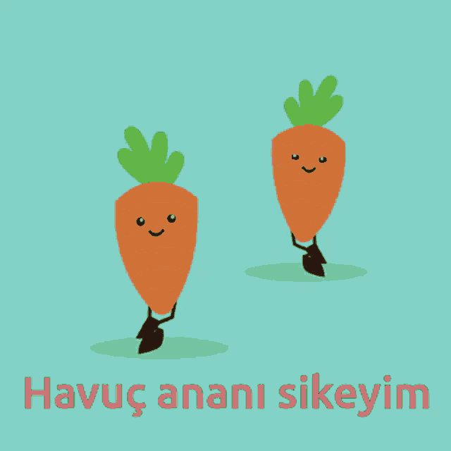 two carrots with arms and legs and the words havuc anani sikeyim