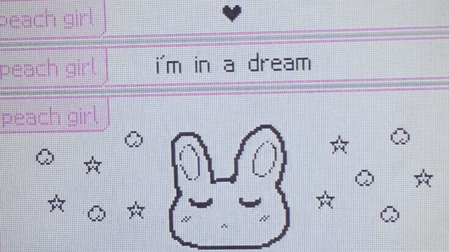 a computer screen shows a rabbit and the words i 'm in a dream