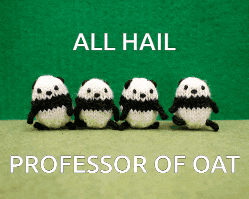 four knitted panda bears are lined up in a row with the words all hail professor of oat below them
