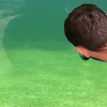 a man is swimming in a green pool