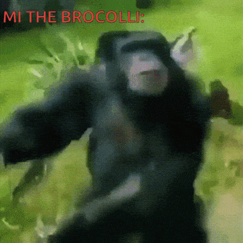 a blurry picture of a monkey with the words mi the broccoli