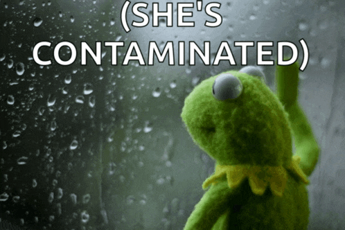 kermit the frog looking out a window with the words ( she 's contaminated )