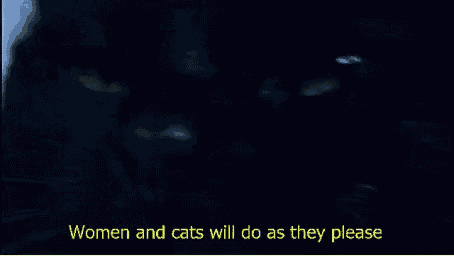 a black cat with the words " women and cats will do as they please " above it