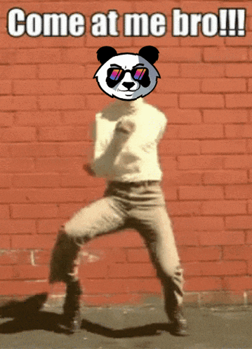 a panda wearing sunglasses is dancing in front of a red brick wall with the caption come at me bro