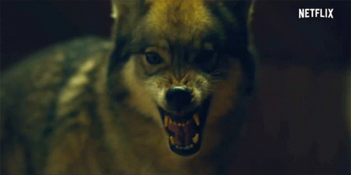 Barking Curon GIF - Barking Curon Wolf GIFs