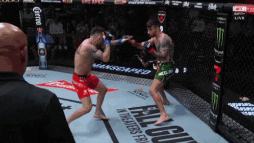 two men are fighting in a cage with a banner that says manscaped