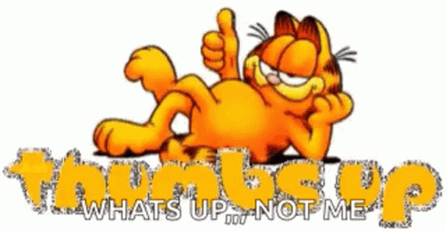 Thumbs Up Garfield GIF - Thumbs Up Garfield Whats Up GIFs