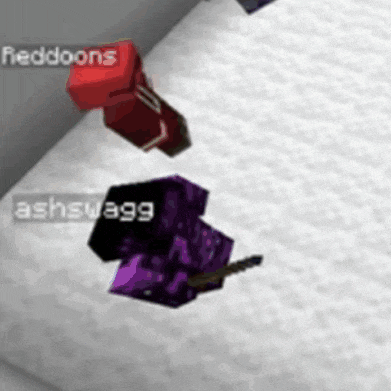 a screenshot of a video game with the name reddoons and ashswagg