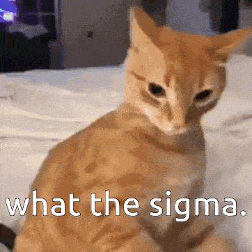 What The What The Sigma GIF - What The What What The Sigma GIFs
