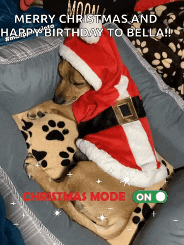 a dog wearing a santa hat laying on a pillow