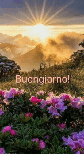 Buongiorno GIF - Buongiorno GIFs