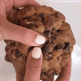a close up of a person holding a chocolate chip cookie with their fingers .