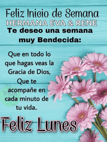 a blue background with pink flowers and the words " feliz lunes "