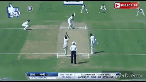 Cricket Pitch GIF - Cricket Pitch Excited GIFs
