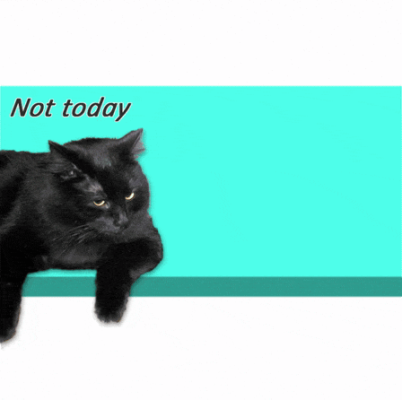 a black cat laying on a blue surface with the words " not today "