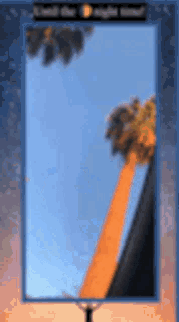 a blurred picture of a palm tree with a blue sky in the background