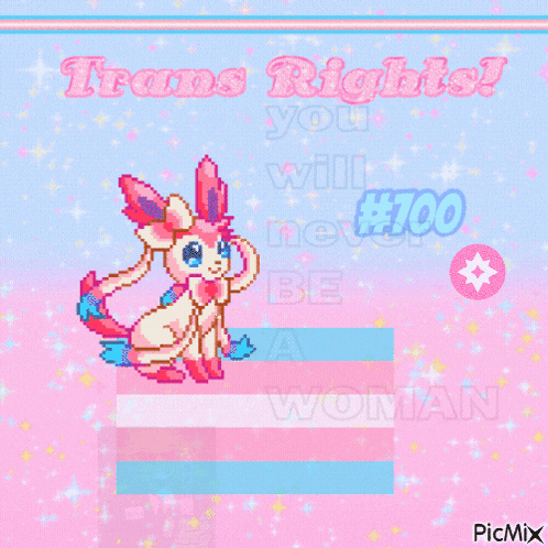 a pixel art of a fairy with the words " trans rights you will never be a woman "