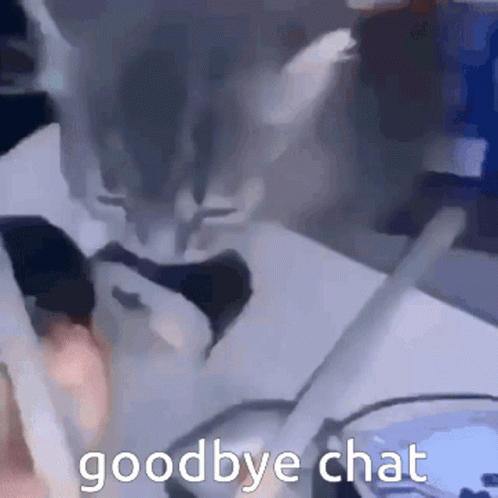 Goodbye Chat Bye Chat GIF - Goodbye Chat Bye Chat Cat Sushi GIFs