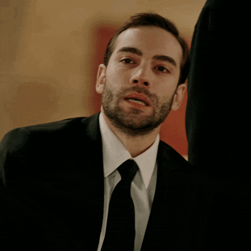 a man with a beard in a suit and tie