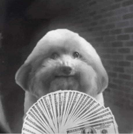 a black and white photo of a dog holding a fan of dollar bills .