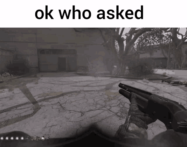 a picture of a person holding a shotgun with the words ok who asked above it