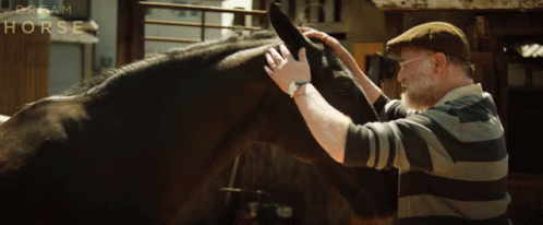 Kiss Horse Brian GIF - Kiss Horse Brian Dream Horse GIFs
