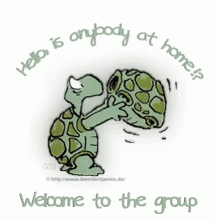 Turtle Welcome To The Group GIF - Turtle Welcome To The Group GIFs