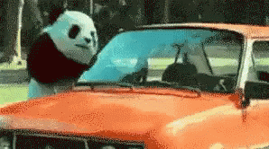 Panda Marah GIF - Marah Panda Marah Kesel GIFs