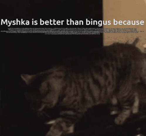 Myshka Bingus GIF - Myshka Bingus Myshka Gang GIFs