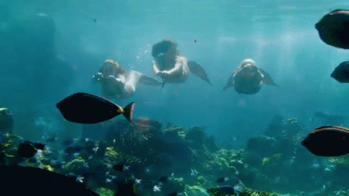 Mako Mermaids "Just Add Water" GIF - Mako Mermaids Netflix GIFs