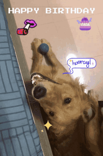 a picture of a dog with a happy birthday message