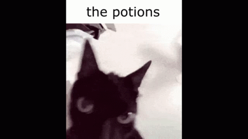 The Potions GIF - The Potions GIFs