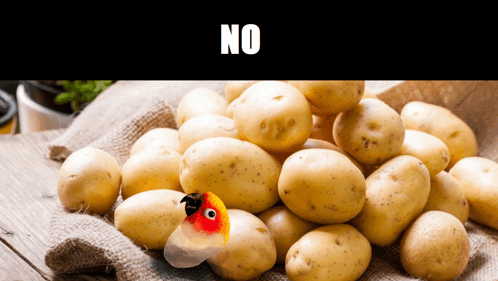 No Potato GIF - No Potato GIFs