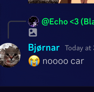 a screenshot of a chat with a cat and a crying face and the words bjornar today at nooo car