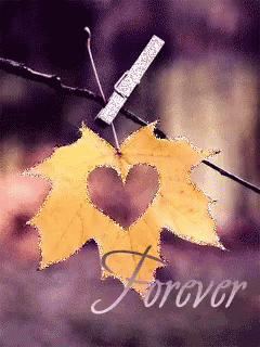 Love Symbol GIF - Love Symbol Leaf GIFs