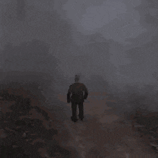 a man is walking through a foggy forest with trees in the background .