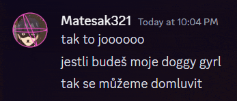a screenshot of a chat with matesak321