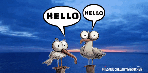 a cartoon of two seagulls talking to each other with speech bubbles that say hello