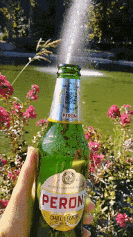a person is holding a bottle of peroni chill lemon beer