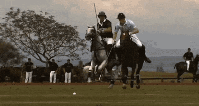 two men are riding horses on a field and one is wearing a polo shirt