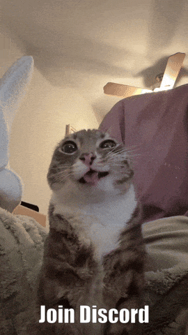 a cat with its tongue out and the words join discord below
