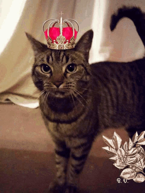 a cat with a crown on its head is standing in front of a white curtain
