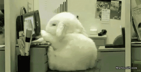 a white stuffed animal is sitting on a desk in front of a computer monitor .