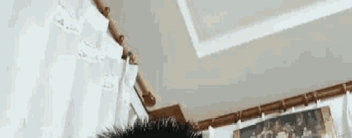 a close up of a person 's head in a living room with curtains and a painting on the wall .