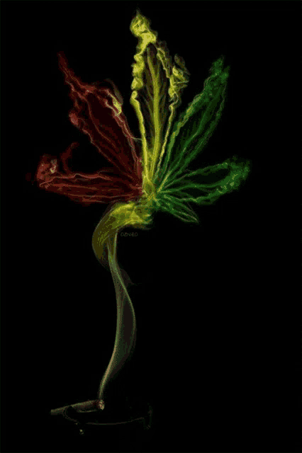 a smoke coming out of a cigarette that looks like a rasta flower