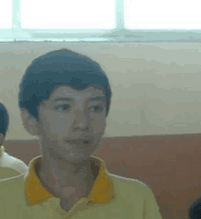 a young boy wearing a yellow shirt with a yellow collar looks at the camera
