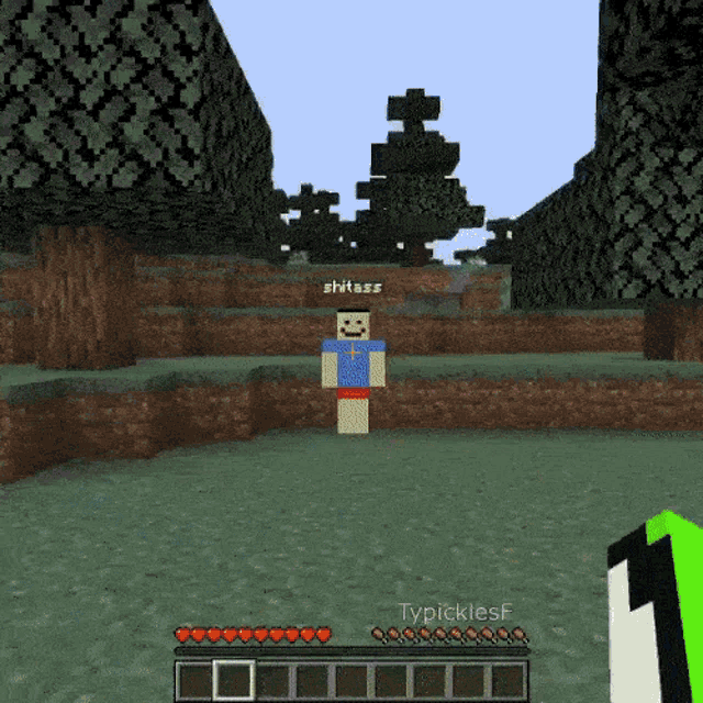 a screenshot of a video game with the name typicklesf on the bottom